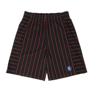 Alexander Wang Striped Basketball Shorts Size Medium