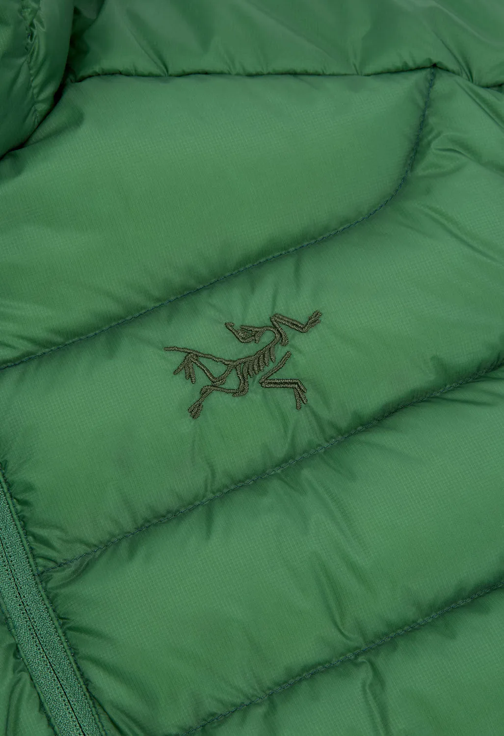 Arc'teryx Men's Cerium Vest - Eden