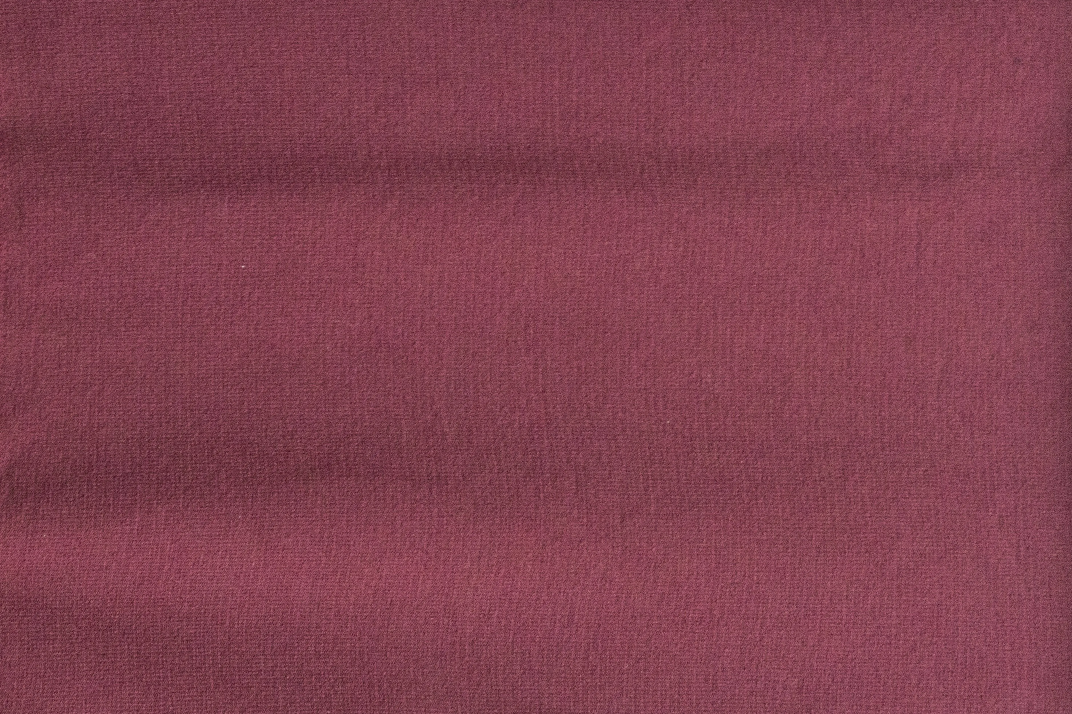 Opaque Tights 80 Denier Finest Claret - ELLE