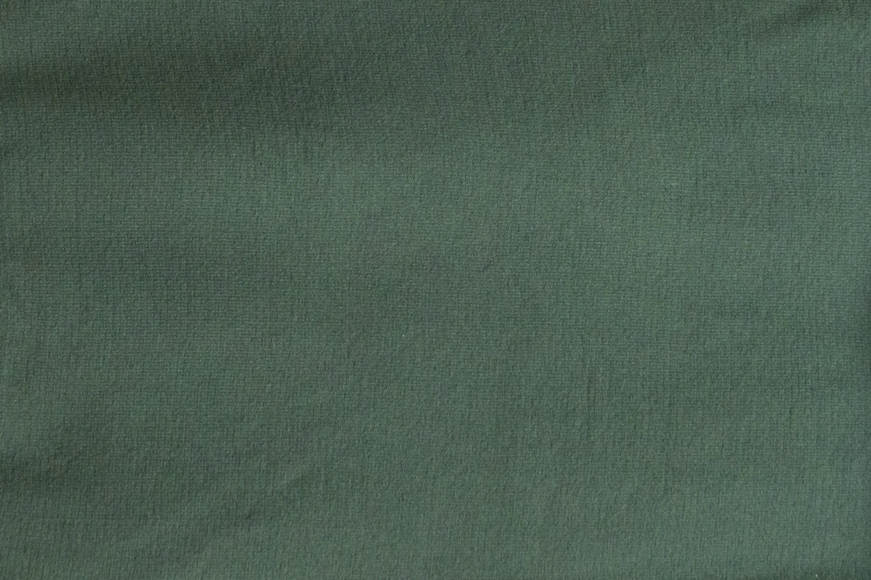 Opaque Tights 80 Denier Forest Green - ELLE