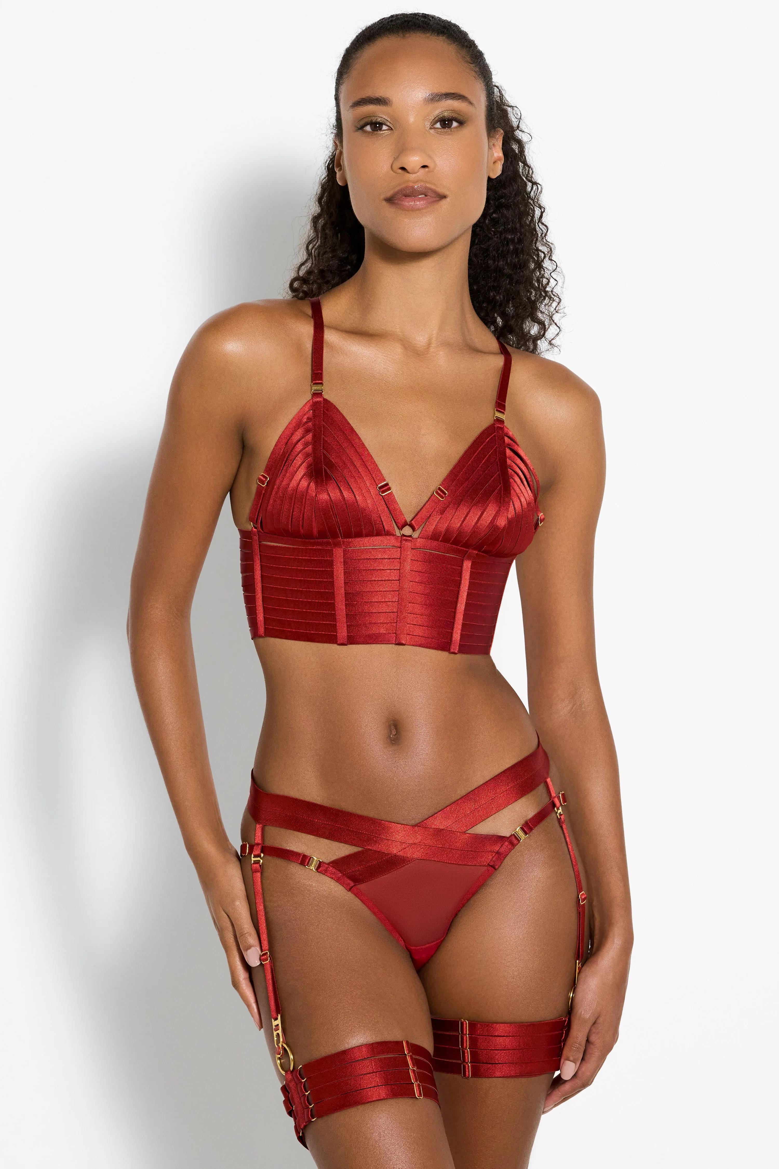 Signature Panelled Suspender Brief