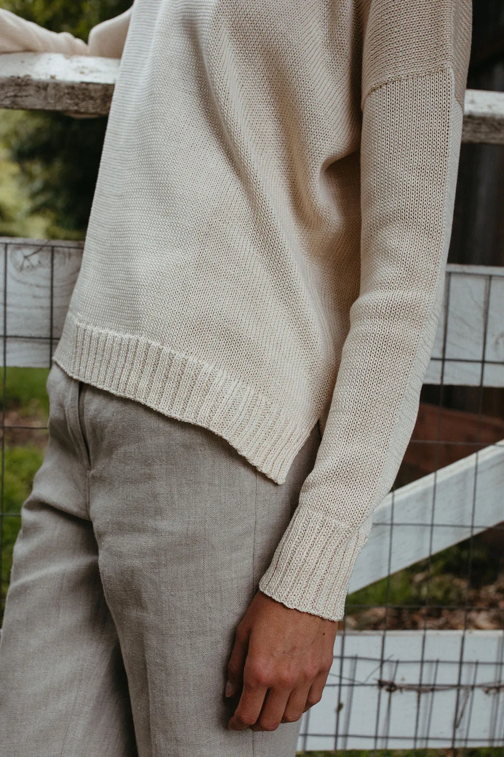 Sparrow - cotton
